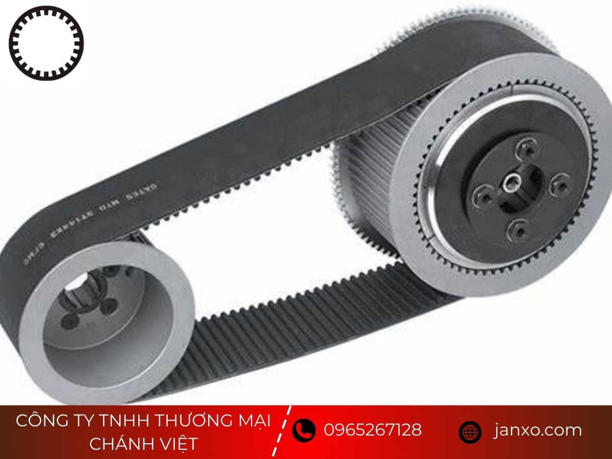 Chức năng dây curoa và lý do không thể thiếu trong máy móc 2 day curoa 2