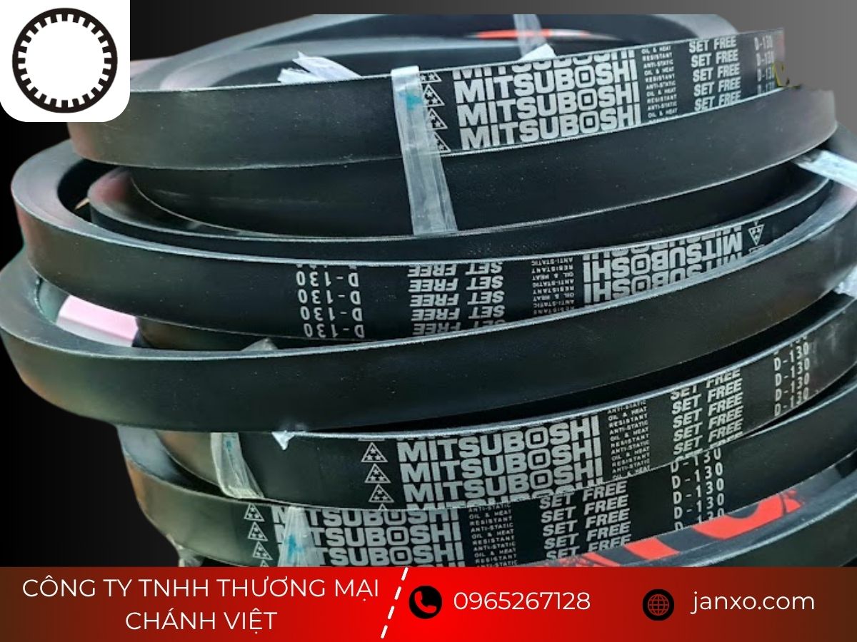 Dây curoa Trung Quốc