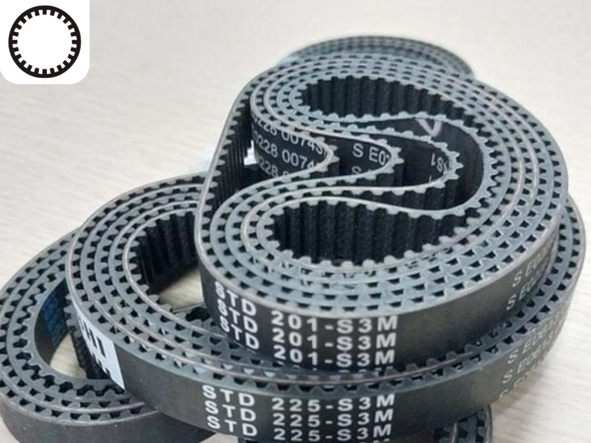 Loại dây curoa chính hãng 