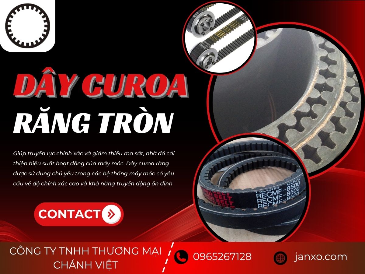 DÂY CUROA RĂNG TRÒN