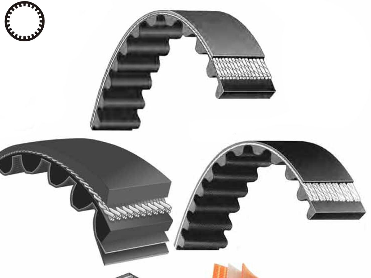 Mua dây curoa quận Bình Tân nên chọn cửa hàng nào uy tín 4 Mua dây curoa quận Bình Tân