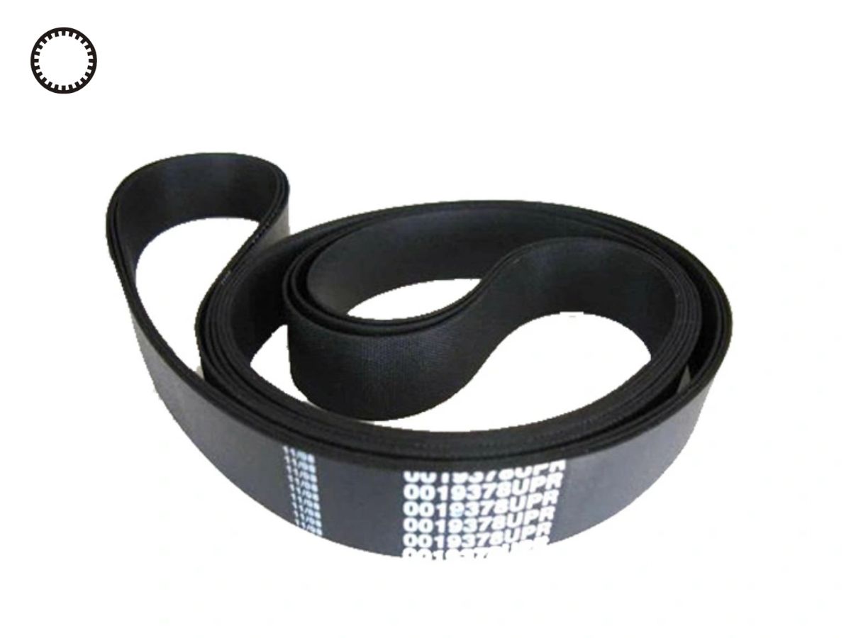 Dây curoa bán sẵn tại TP.HCM có đảm bảo chất lượng không? 4 Dây curoa bán sẵn tại TP.HCM