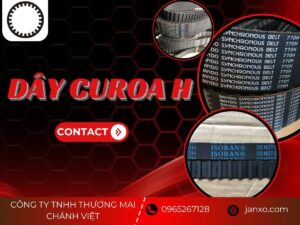 Dây curoa H